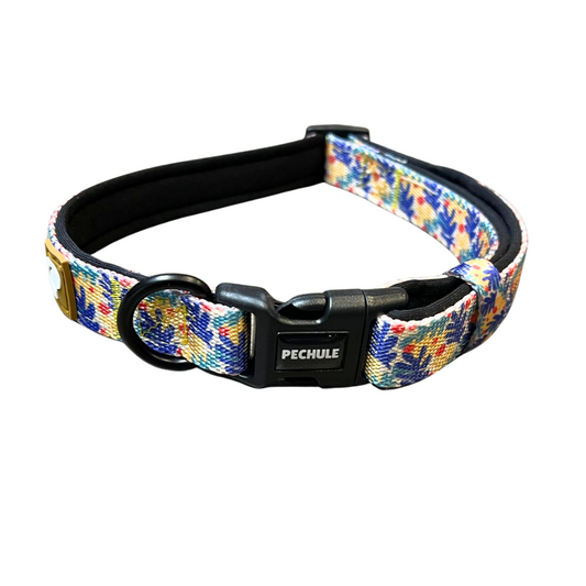 Collar Coco