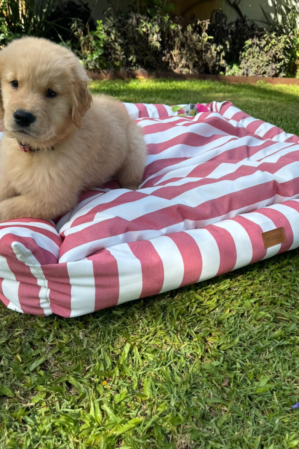 Camita Impermeable Roja- Talle M (75x60cm)