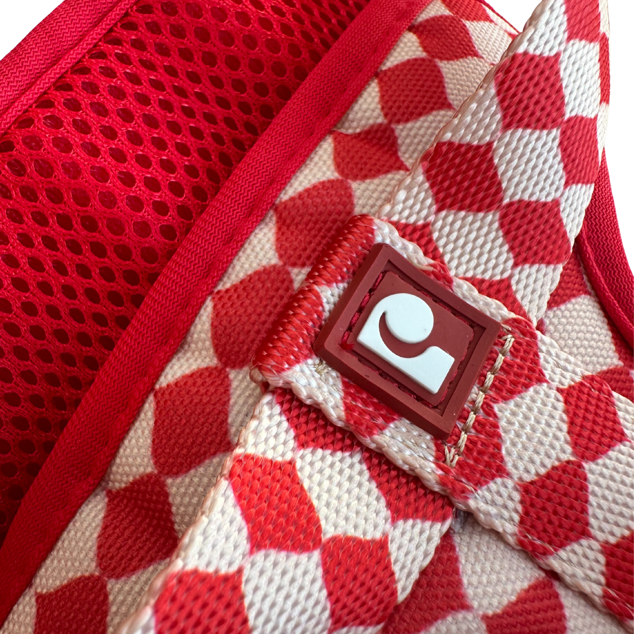 Combo Pipo - Arnés + Correa + Collar