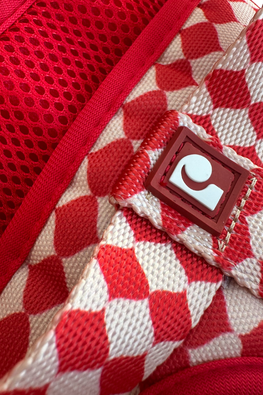 Combo Pipo - Arnés + Correa