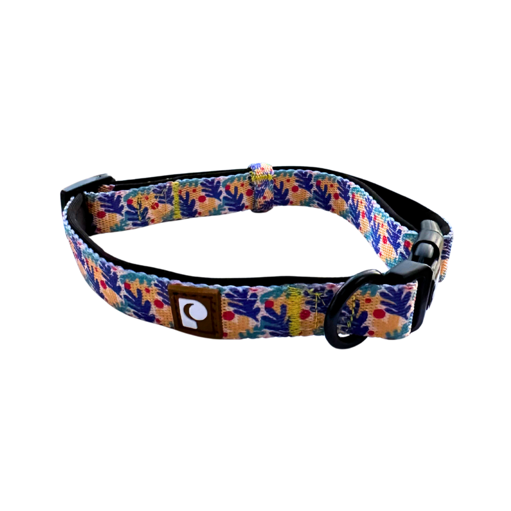 Combo Correa + Collar Coco