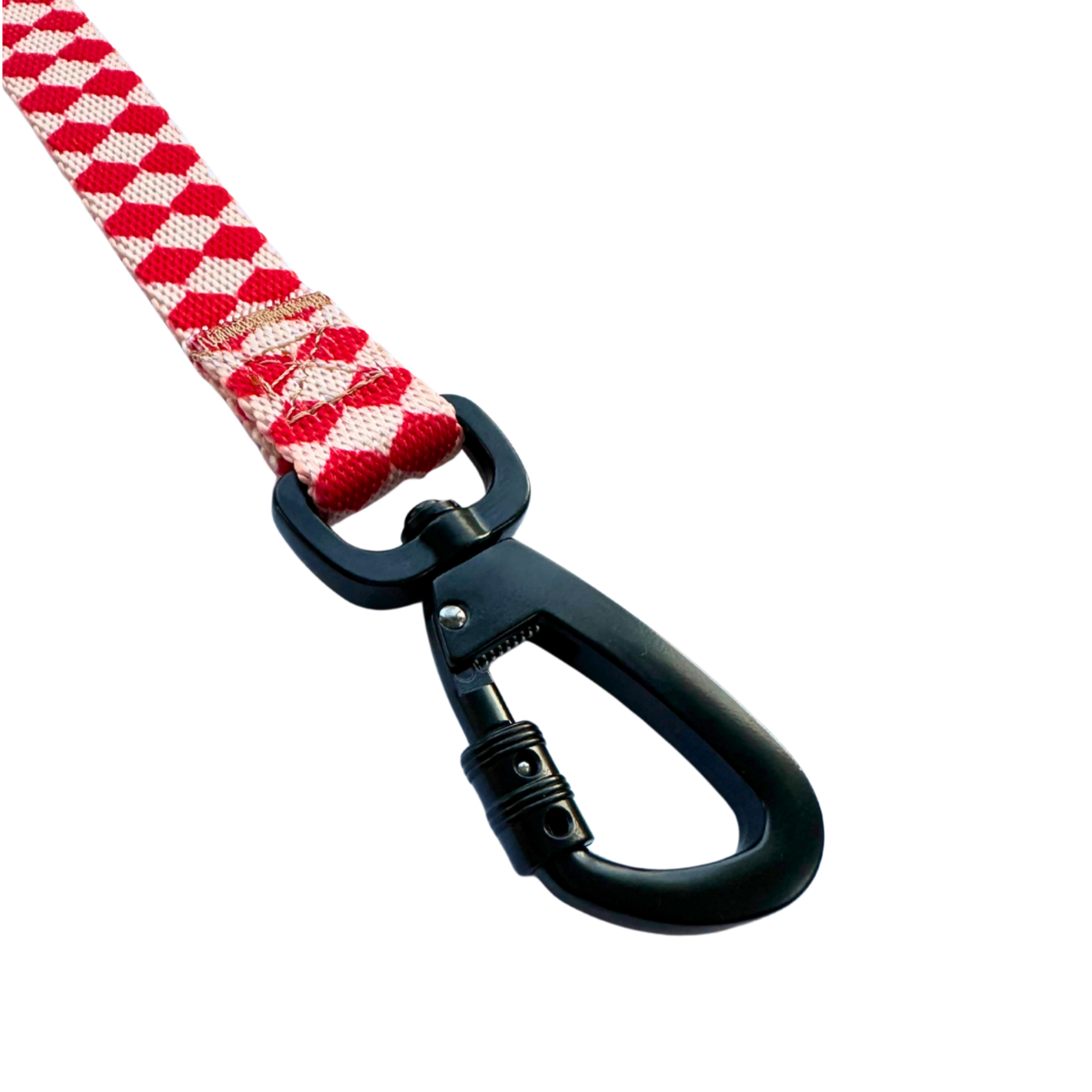 Combo Correa + Collar Pipo