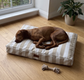 Colchoneta Beige - Talle L (90x65cm)