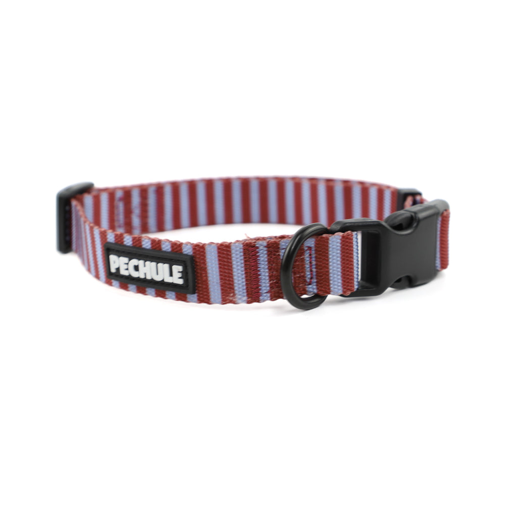 Combo Malbec - Arnés + Collar + Correa