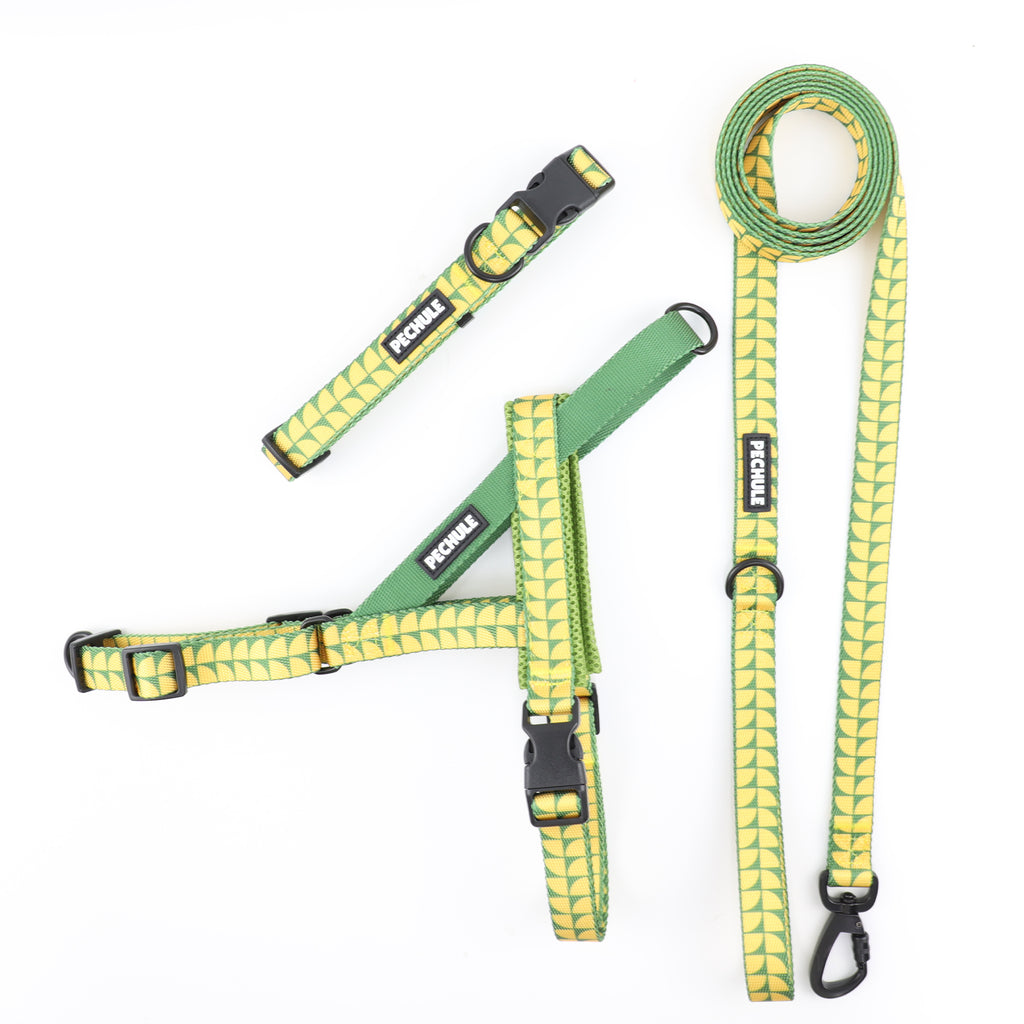 Combo Amazonia - Arnés + Collar + Correa