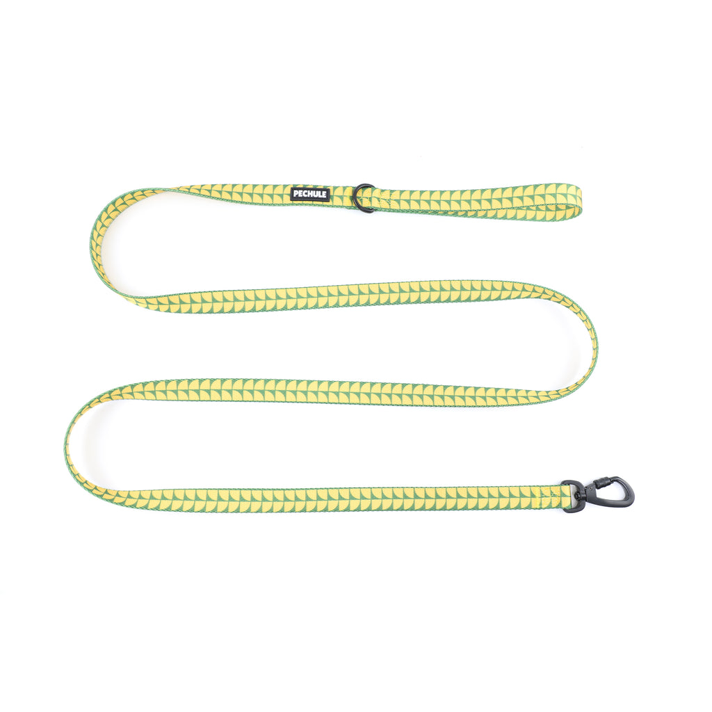 Combo Amazonia - Arnés + Collar + Correa